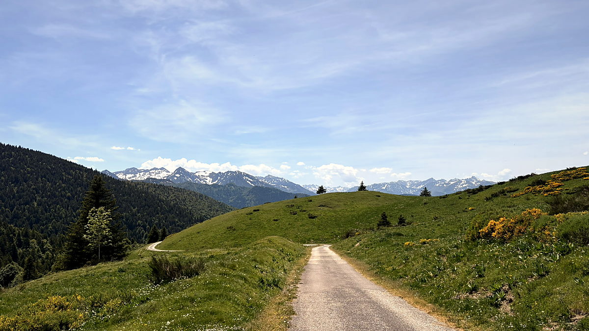 A single-lane road running over open grassy hills at the Col du Pradel