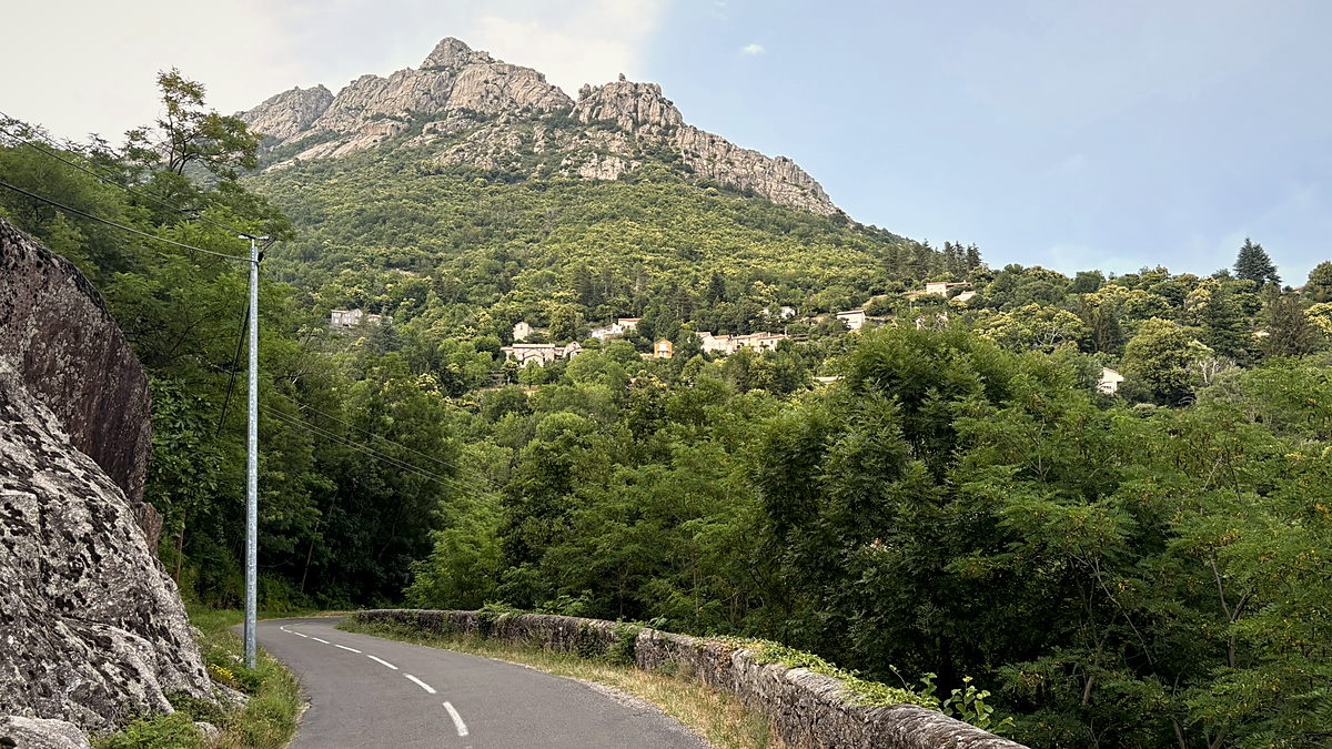 An empty road climbing through the forested hills of the Cévennes at Vialas