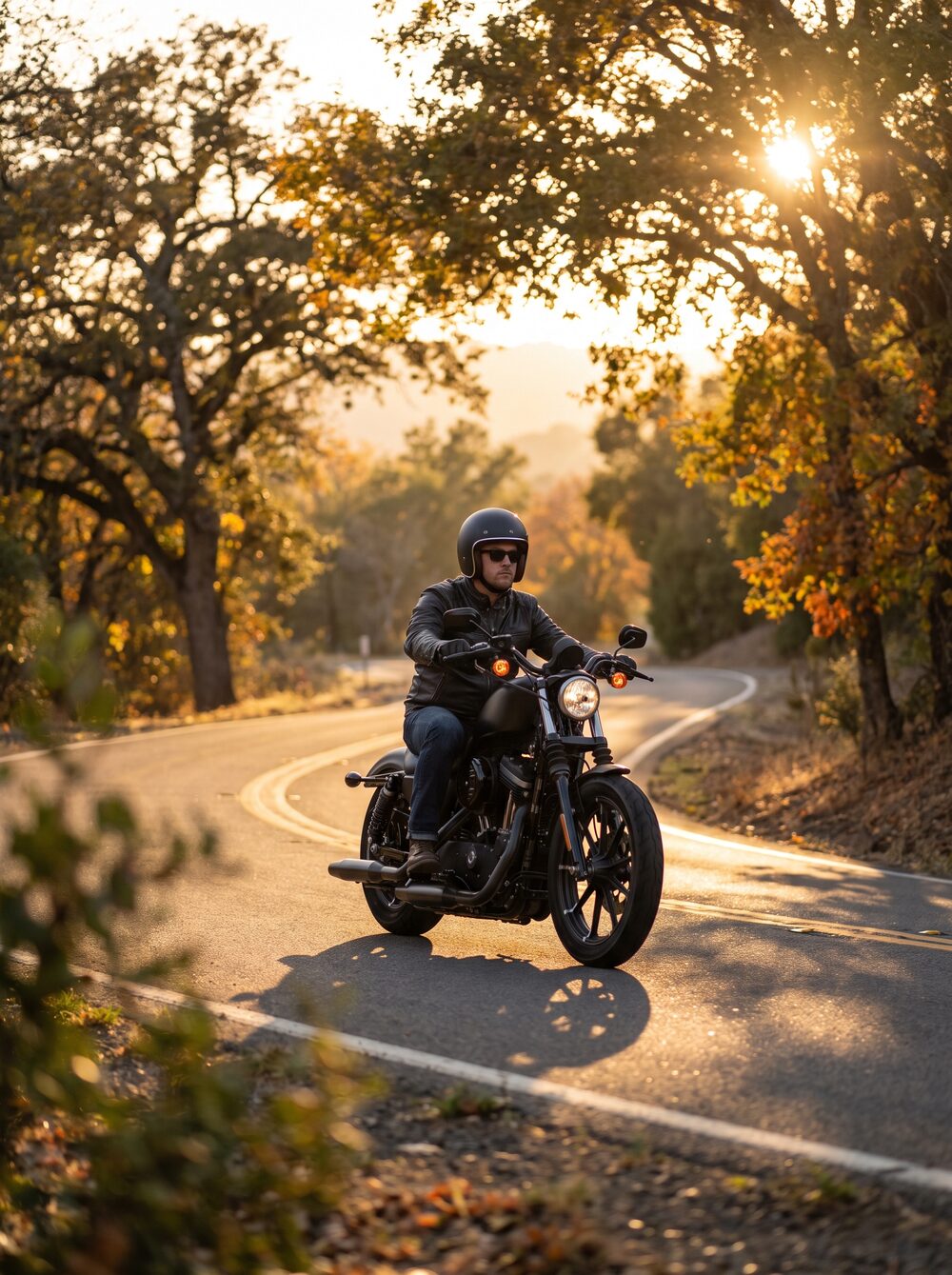 Rider on a cruiser motorcycle rolling down a tree-lined lane at sunset